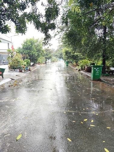 ✅Nhà 6x30 khu dân cư Trung Thành ,Cần Đước, Long An 