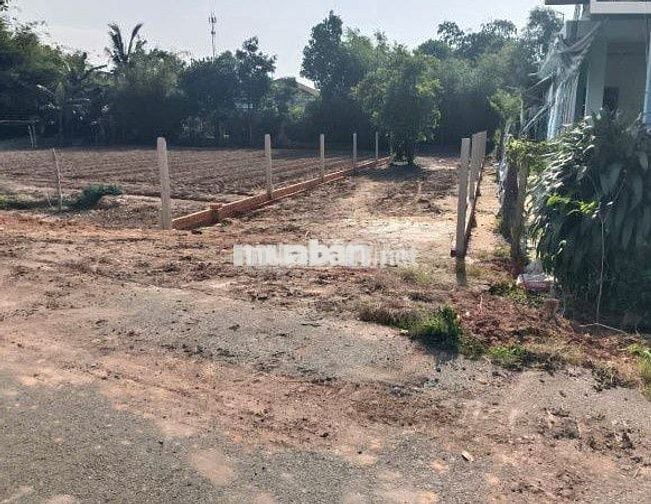 Bán Gấp 175m2 thổ 100% Suối lôi Củ Chi Shr 600tr