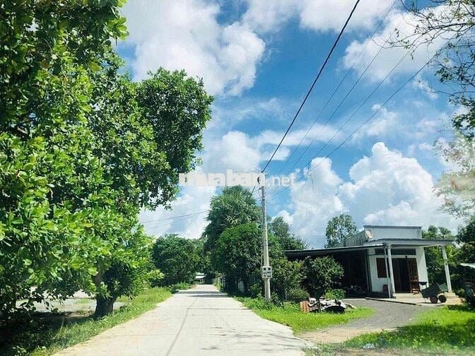 25x44 Tổng 1100m Có Sẵn 240 Thổ Cư Long Mỹ Phước Hải