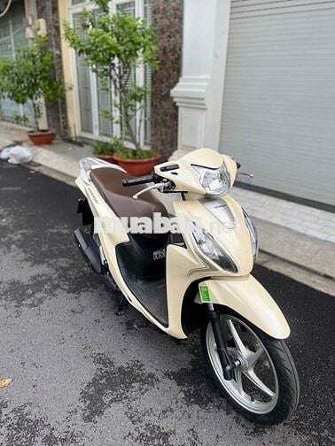 vision 2024 bản cá tính