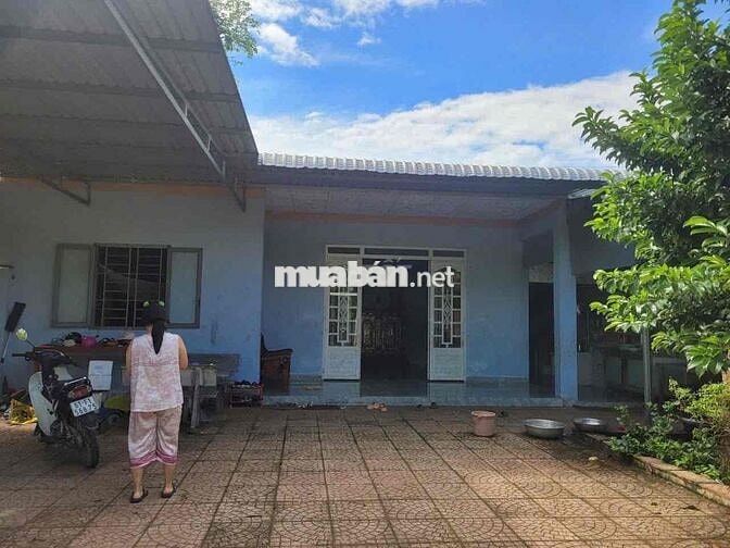 chính chủ bể nợ cần bán gấp đất tặng nhà cấp 4