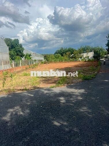 Thanh lý gấp đất góc 2 mặt tiền đường, TP.HCM(mới), 291m2, giá 400tr