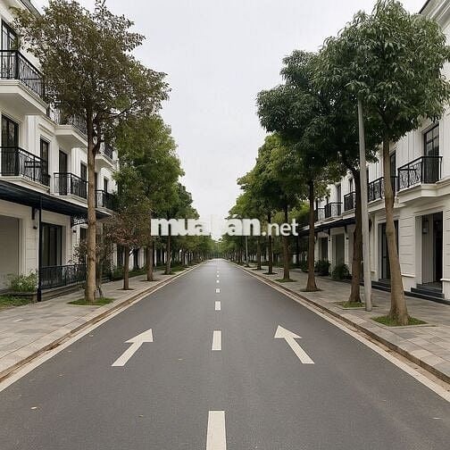 Cho thuê Shophouse nhà phhố- Khu LACASTA HI-BRAND, Văn Phú