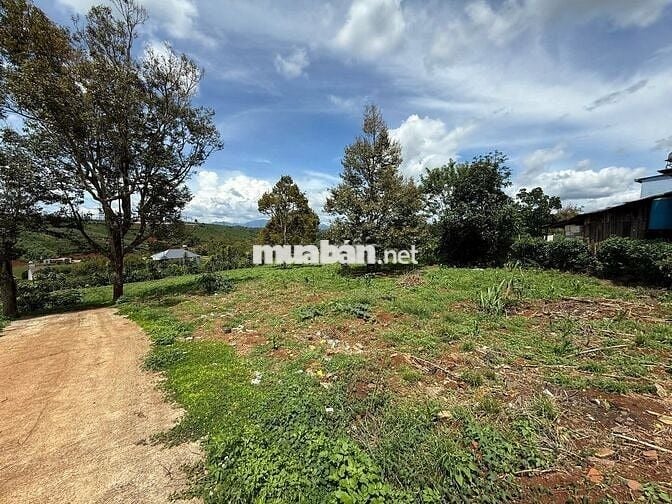 BÁN ĐẤT TẠI THỊ TRẤN DI LINH (LÂM ĐỒNG) - VỊ TRÍ ĐẸP , TIỀM NĂNG