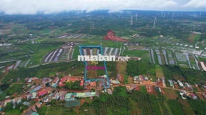 Cần bán 6,5héc ngay trung tâm xã Thuận Hà