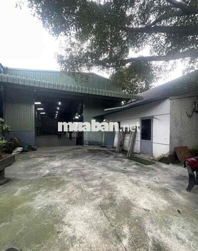 Cho thuê xưởng 650m2, điện 3Fa, MT đường chính, Thiện Tân, Vĩnh Cửu.