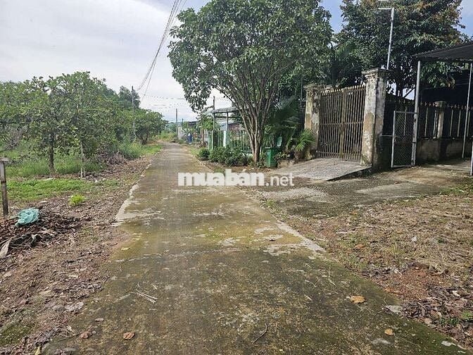 Bán Đất kèm 2 căn nhà gần chợ cầu 2