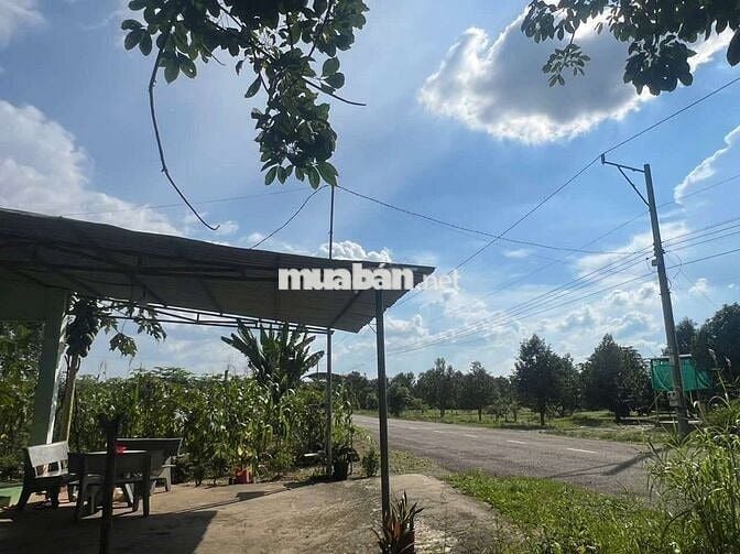 Chủ kẹt tiền cần ra gấp lô đất mặt tiền DH519, 388m2, giá 500tr