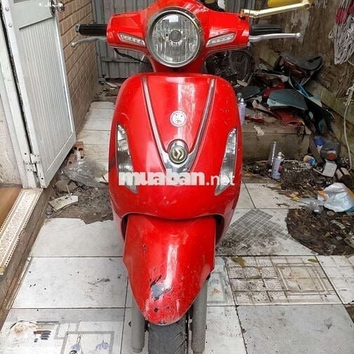 SYM Elizabeth tứ quý 4