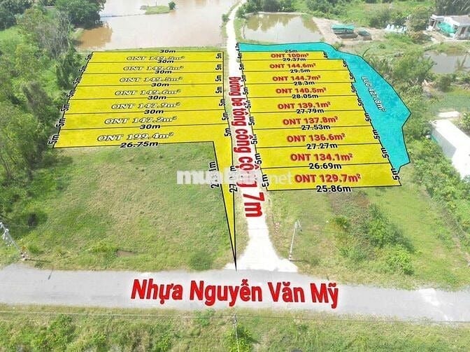 Bán đất thổ cư Tân Trụ Long An