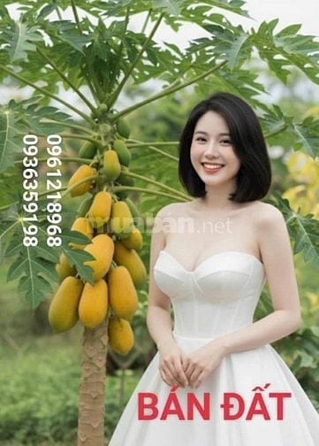 Bán Nhà ĐẤT MẶT HỒ TRUNG KÍNH. NGÕ 110 TRẦN DUY HƯNG CẦU GIẤY DT 88 M 