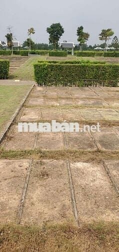 Bán mộ đôi sala garden ( 198tr/ 1 cặp)