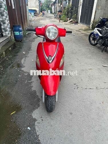 Attila Elizabeth Fi Biển Số Thành Phố