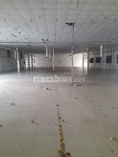 Cho thuê mặt bằng , nhà xưởng mặt tiền Lê Đức Thọ , Gò Vấp 