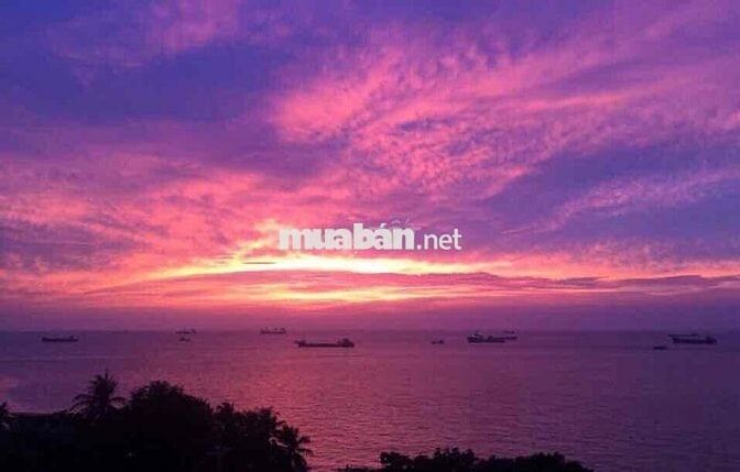bán căn hộ view biển, qua đường là biển cách biển dưới 200m