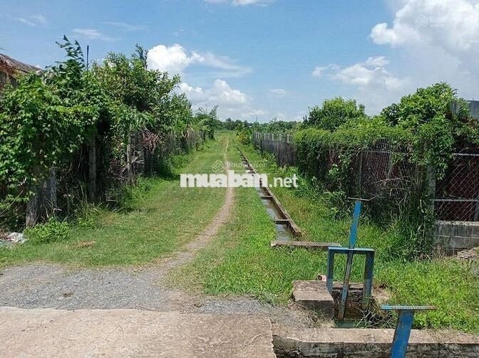 ĐẤT VƯỜN GIÁ TỐT KHU VỰC GÒ DẦU TÂY NINH, 1000M2 GIÁ 1 TỶ
