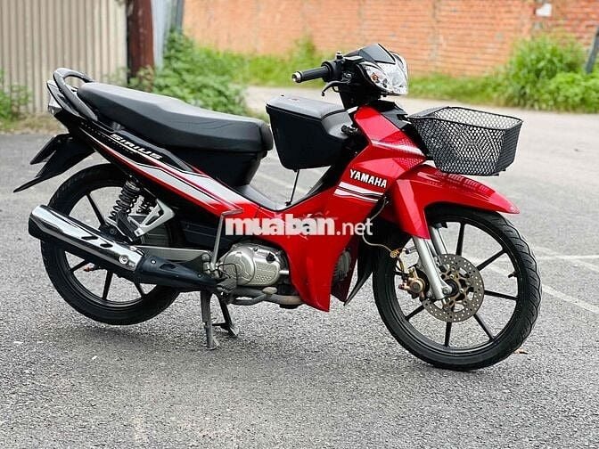 Sirius zin dọn kiểng dáng thư sinh