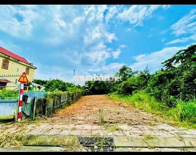 Đất Ngộp Giá Tốt DT 130m2 Full Thổ Nằm Ngay TT Củ Chi , SHR