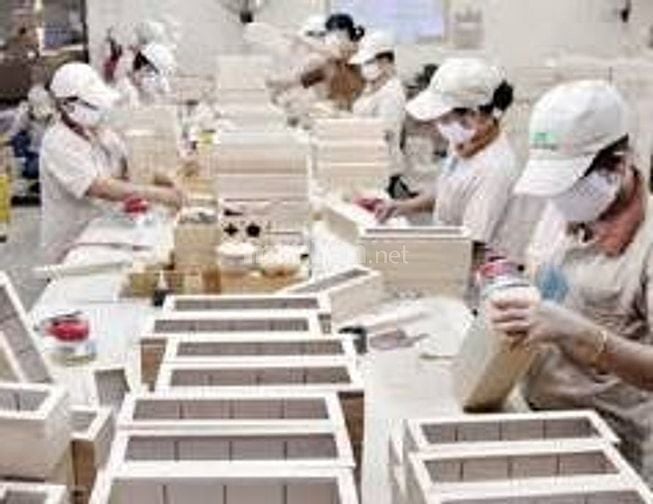 CẦN TUYÊN 3 LĐPT BÁN HÀNG QUẢN LÝ KHO PHỤ KHO ĐÓNG GÓI LÀM LÂU DÀI