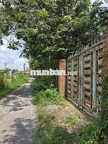 Tôi chính chủ cần bán lô đất full thổ cư xã An Nhơn Tây