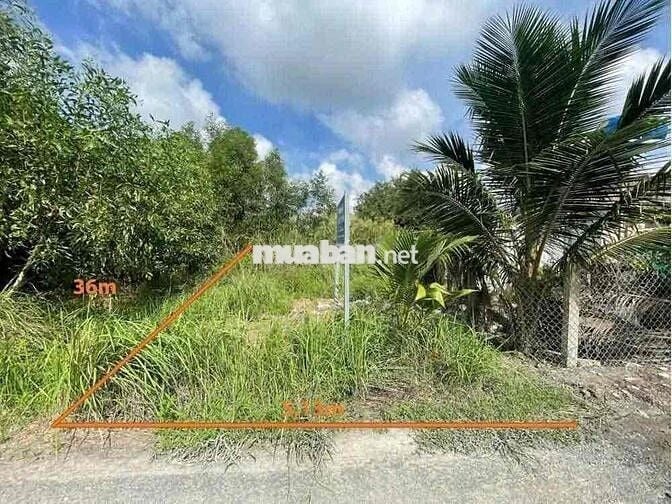 Bán đất tại xã Bình Đức, Bến Lức, Long An. DT: 176m2, Giá cực rẻ!