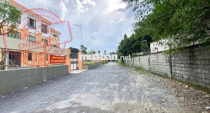 CHỦ NGỘP BÁN GẤP 347M² ĐẤT THỔ CƯ TÂN THÔNG HỘI, CỦ CHI GIÁ 720 TRIỆU