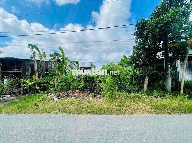 🌳 BÁN LÔ ĐẤT ĐẸP 510m2 – MẶT TIỀN NGUYỄN THỊ THẠO, CỦ CHI 🌳