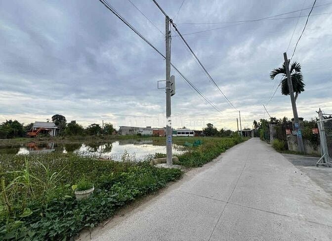 Đất Ngộp Đức Hoà Đông 5x24m giá 1ty150 đường bê tông