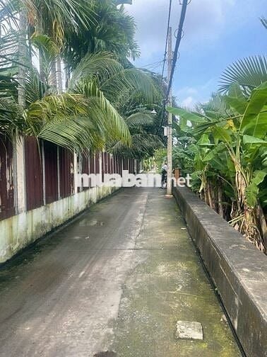 Cho thuê Phòng hẻm 480/31 Bình Quới , P28