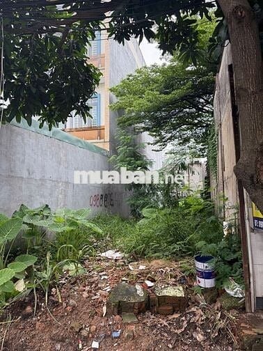 🔥 đất Mặt Tiền Võ Thị Sáu - 118m2 Gia’ 6ty500tr - Cách Goo Dĩ An 500m