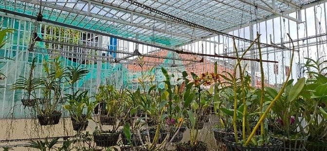 Bán Nhà Riêng 3 tầng đường 339 PLB Q9