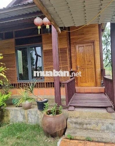 MỚI SĂN ĐƯỢC SỔ ĐẤT MỚI - Giá rẻ - Chủ kẹt tiền nên bán