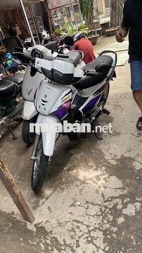 xe bán ( liên doanh )