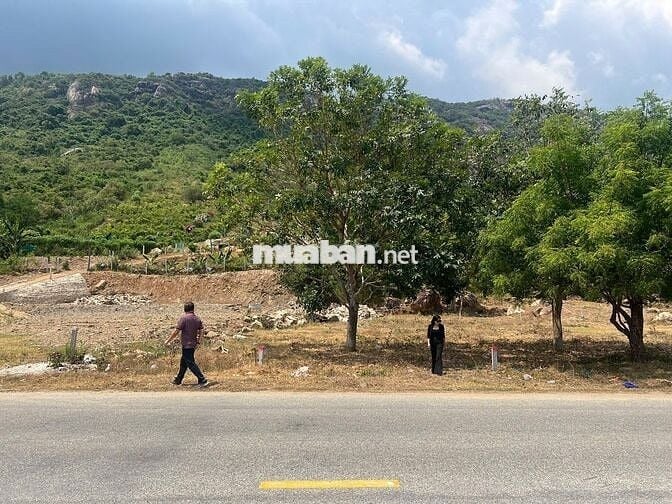 🌴 CƠ HỘI SỞ HỮU ĐẤT VEN BIỂN CAM RANH – GIÁ CÒN MỀM CHỈ CẦN 800TR