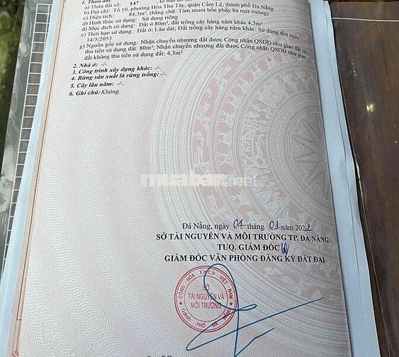 Chào bán lô đất phường Cẩm Lệ, kiệt 3m