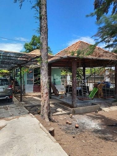 Bán Đất Mặt Tiền Đường Hướng Biển Thị Trấn Cần Thạnh Cần Giờ TPHCM 