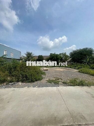 BÁN ĐẤT FULL THỔ VỊ TRÍ ĐẸP NGAY CHỢ VÌNH LỘC A - BÌNH CHÁNH