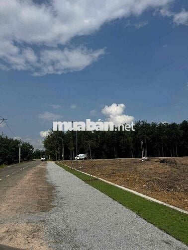 Sang ngay lô đất 250m2 ngay mặt tiền DH, giá rẻ công chứng ngay