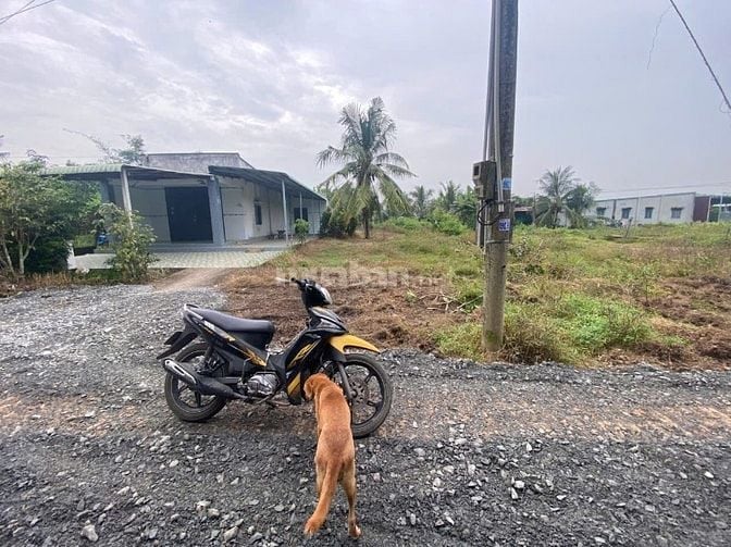 6x35 có thổ. Gần nhựa. Gần chợ và trường học. 590tr 