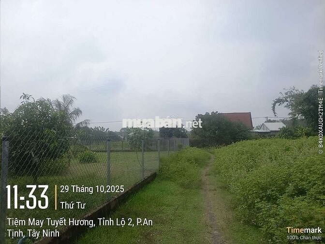 Đất siêu ngộp mua 1ty1 bán 819tr mua nhanh còn kịp Trảng Bàng Tây Ninh