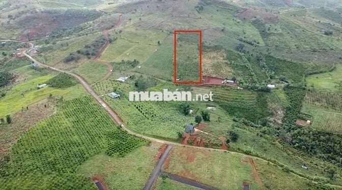 Đất Ven Đồi Đẹp Nhất Bảo Lâm - View Núi , Săn Mây