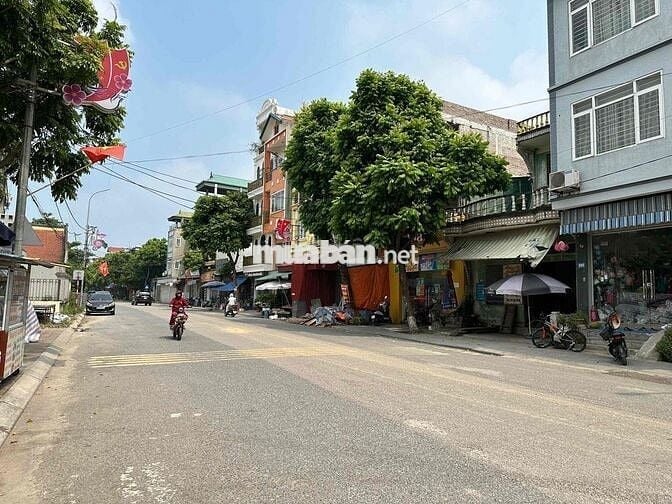 ĐÓN ĐẦU DỰ ÁN THÀNH PHỐ THÔNG MINH CÔNG VIÊN KIM QUY- Ô TÔ 7 CHỖ ĐỖ CỬ