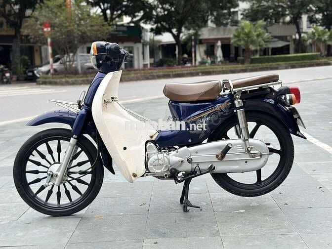 Cup 50cc biển hà nội