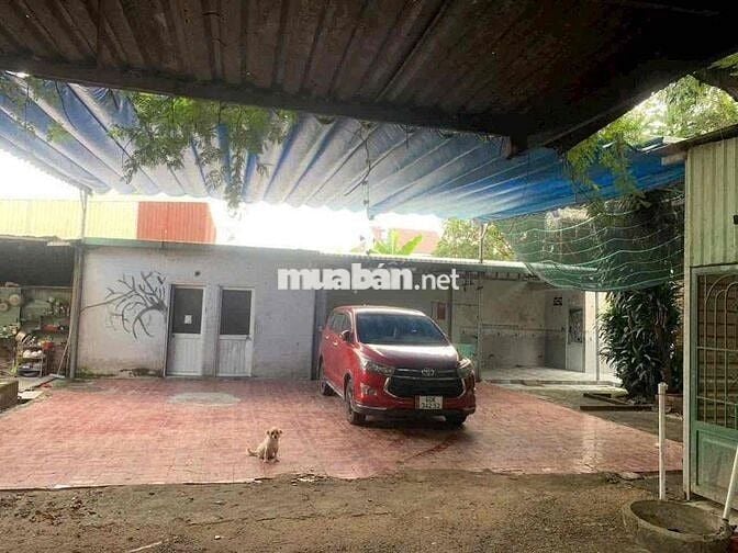 Cho thuê nhà 3PN & kho chứa hàng 255m2, phường Trảng Dài.