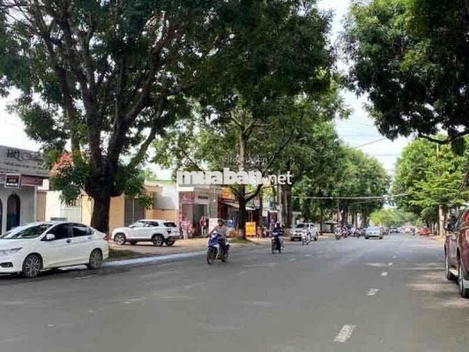 ĐẤT MẶT TIỀN KINH DOANH Y NGÔNG - TÂN THÀNH - BMT