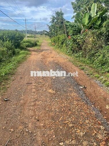 Lốc 10 lô liền kề full thổ cư trục chính sân bóng Tara