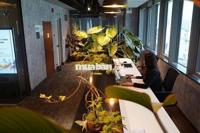 CHO THUÊ VĂN PHÒNG 28 NHÂN SỰ - ĐẦY ĐỦ NỘI THẤT TẠI QUẬN 3