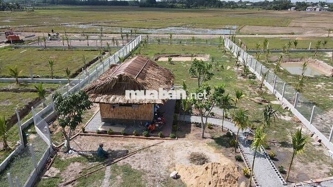 ĐẤT NHÀ VƯỜN 1500M2 ĐẸP NHƯ RESORT TRUNG TÂM THỊ TRẤN GÒ DẦU TÂY NINH