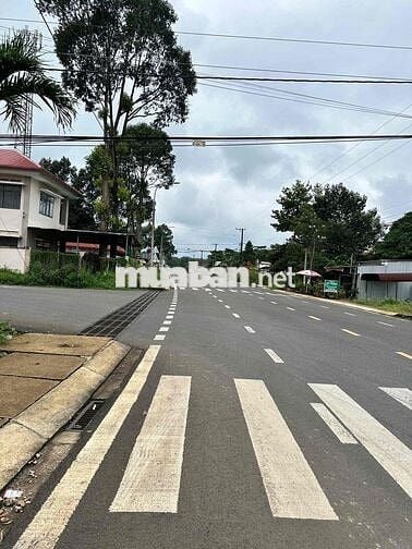 580tr sở hữu 140m thổ cư sổ riêng đất phường