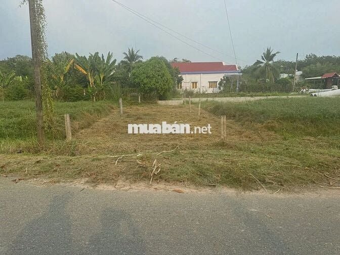 🔥 Bán gấp đất  Trương Thị Kiện – 100m² thổ cư mặt tiền nhựa giá 1 tỷ